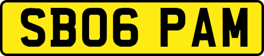 SB06PAM