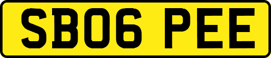 SB06PEE