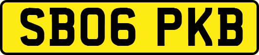 SB06PKB