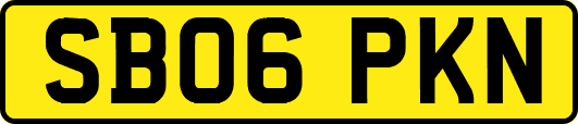 SB06PKN