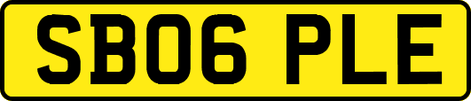 SB06PLE