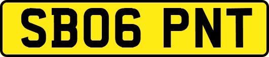 SB06PNT