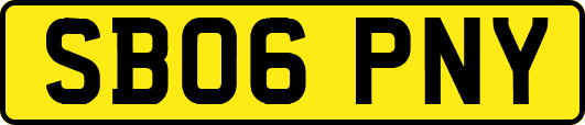 SB06PNY