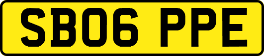 SB06PPE