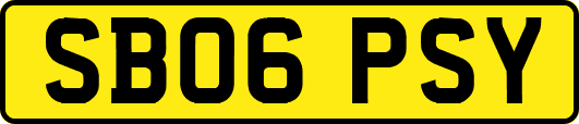SB06PSY