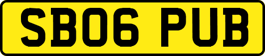 SB06PUB