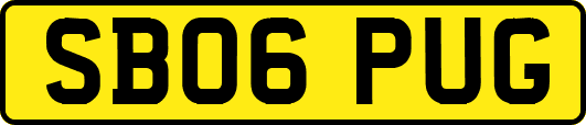 SB06PUG