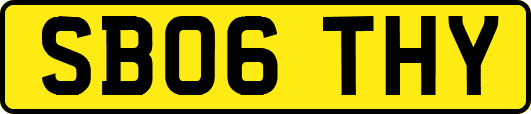SB06THY