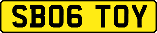 SB06TOY