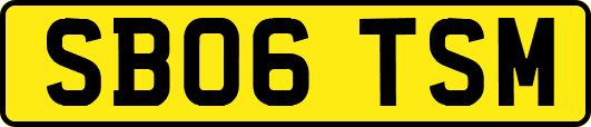 SB06TSM