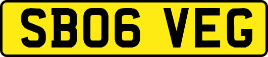 SB06VEG