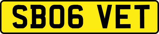 SB06VET