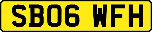 SB06WFH