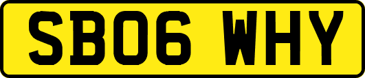 SB06WHY