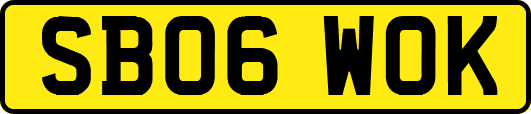 SB06WOK