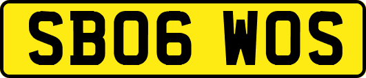 SB06WOS