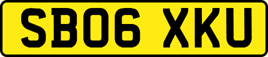 SB06XKU