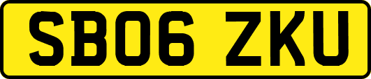 SB06ZKU