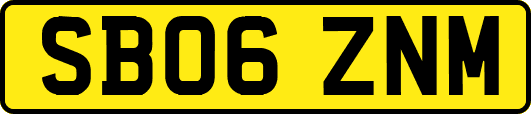 SB06ZNM
