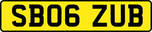 SB06ZUB