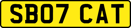 SB07CAT