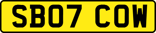 SB07COW