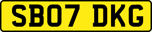 SB07DKG