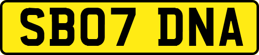 SB07DNA