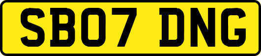 SB07DNG