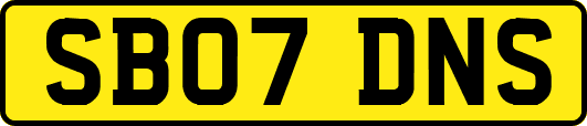 SB07DNS