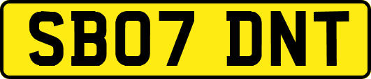 SB07DNT