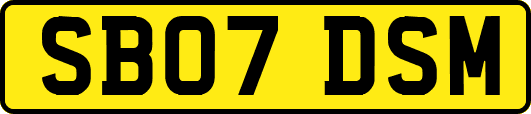 SB07DSM