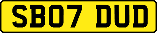 SB07DUD
