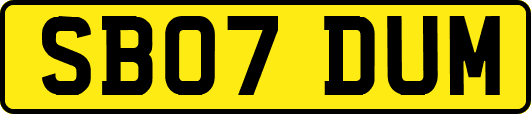 SB07DUM