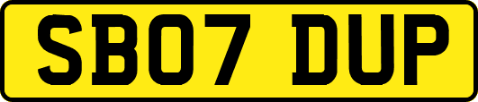 SB07DUP