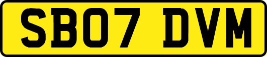 SB07DVM