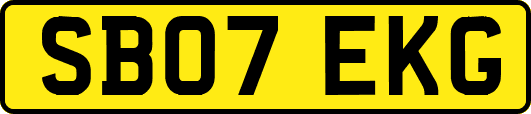 SB07EKG