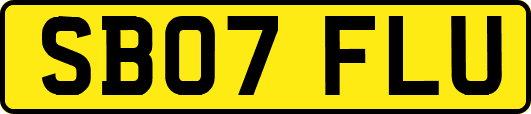 SB07FLU