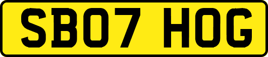 SB07HOG