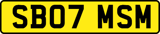 SB07MSM