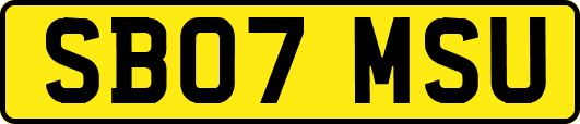 SB07MSU