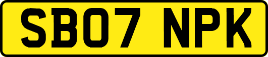 SB07NPK