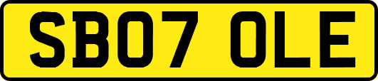 SB07OLE