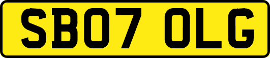 SB07OLG
