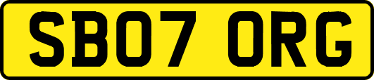SB07ORG