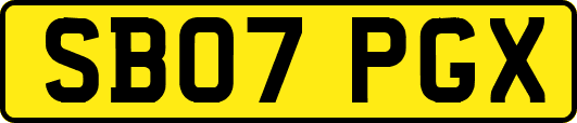 SB07PGX