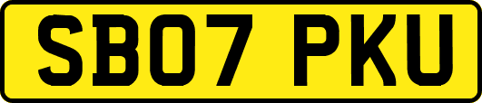 SB07PKU