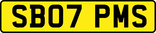SB07PMS