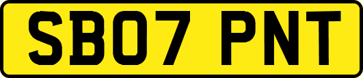 SB07PNT