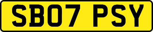 SB07PSY